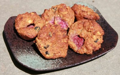 Mini Blueberry / Strawberry Muffins